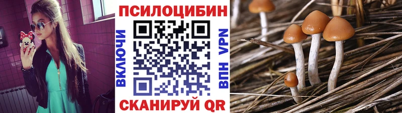 Псилоцибиновые грибы прущие грибы  купить наркотик  Аша 